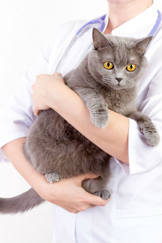 Fotolia_150367775_Subscription_Yearly_M_PLUS_small Fotolia_150367775_Subscription_Yearly_M_PLUS_small