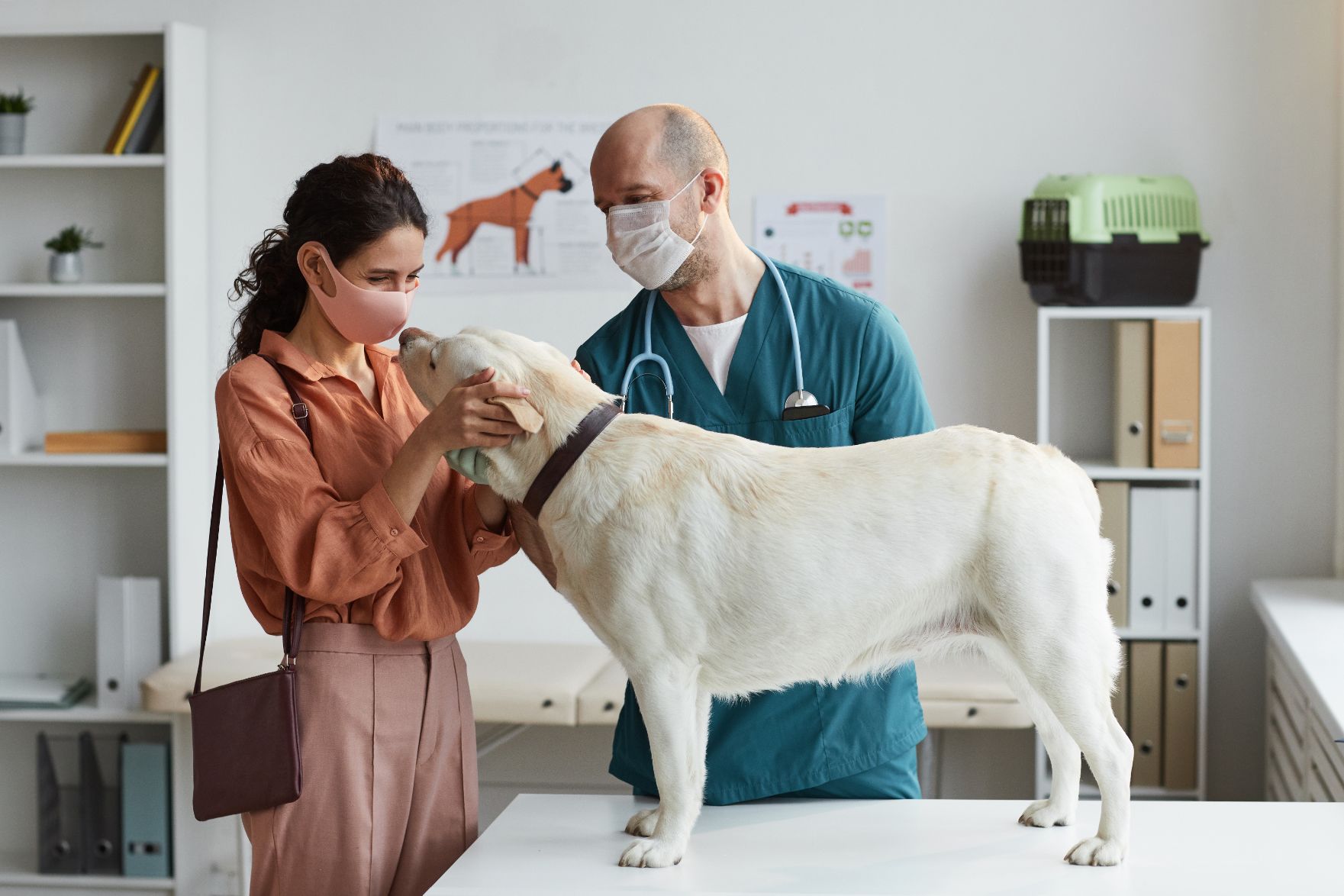 smiling-woman-petting-dog-at-vet-clinic-2021-09-24-04-16-28-utc