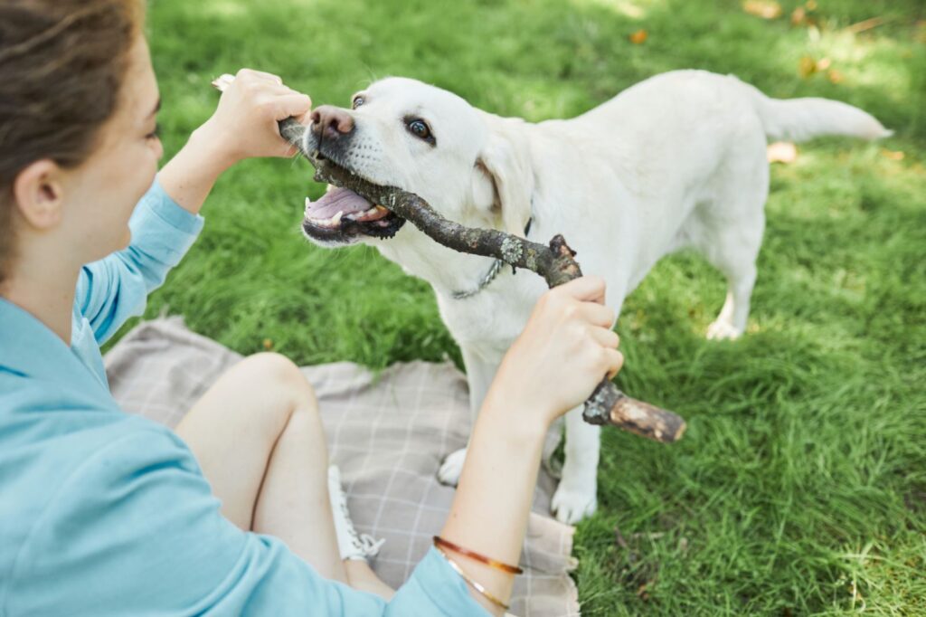 Girl playing with her dog in a park.