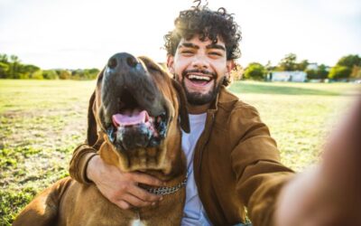 Do Dog’s Adopt Their Owner’s Personality?