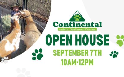 Join Us For Our Annual Open House!