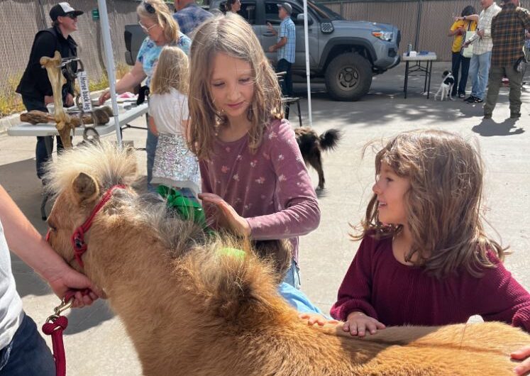 2 little girls petting a mini horse