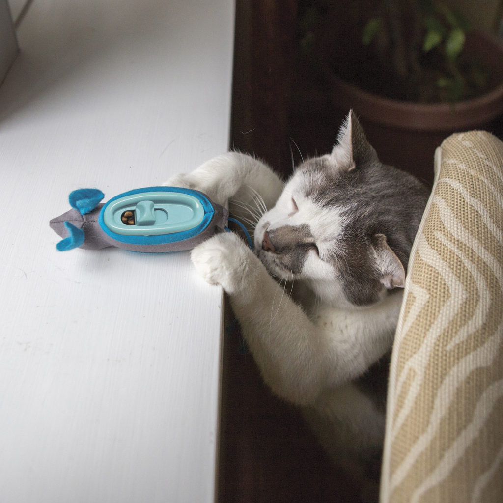 Cat plays with the Indoor Hunting Feeder from Doc & Phoebe