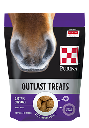 Purina Outlast Horse Treats