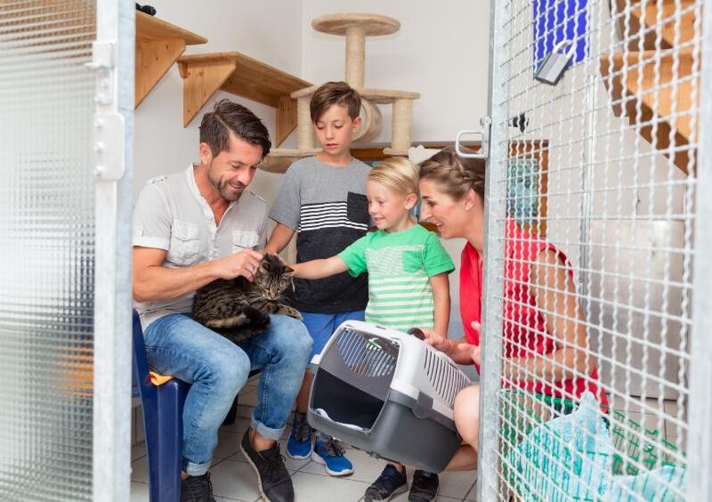 family meeting their new cat at an animal shelter