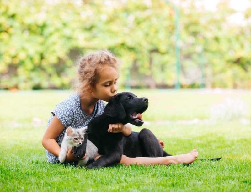 little girl holding and kissing a puppy and kitten in the grass