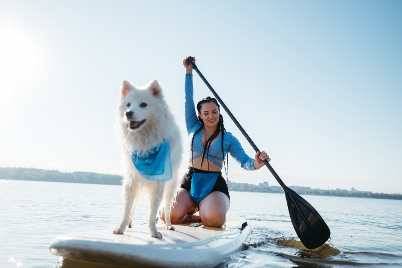 woman paddle boarding with a white dog wearing a bandana