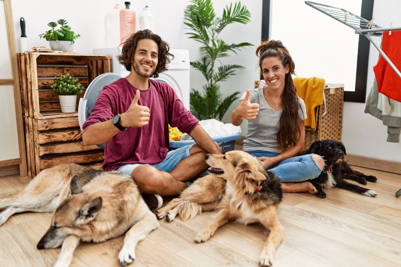 couple with their dogs giving a thumbs up