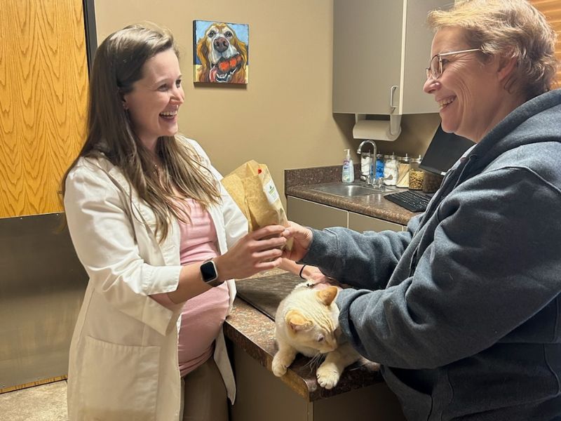 vet handing off a cat medication prescription