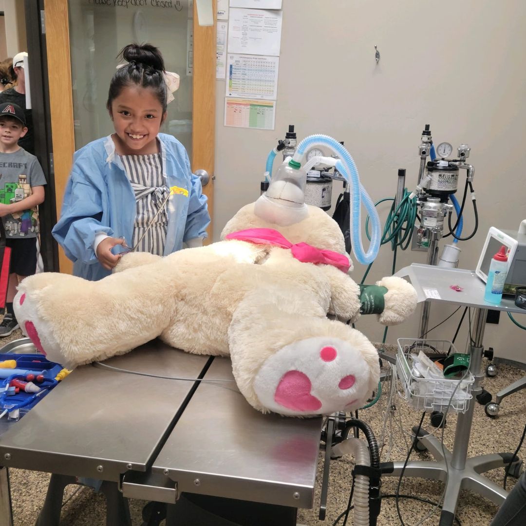 little girl performing teddy bear surgery at Continental Animal Wellness Center's open house