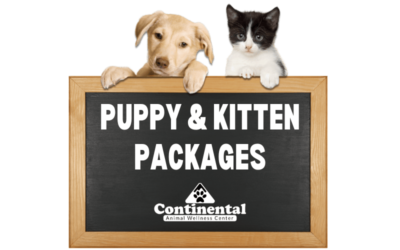 Puppy & Kitten Packages