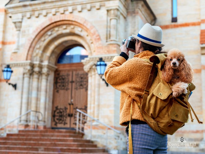 Tourist with doggy backpack on